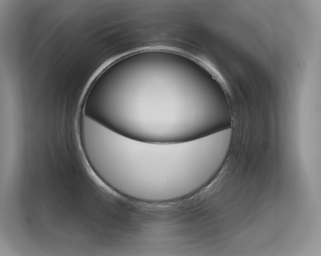 X0000112431100200908141426