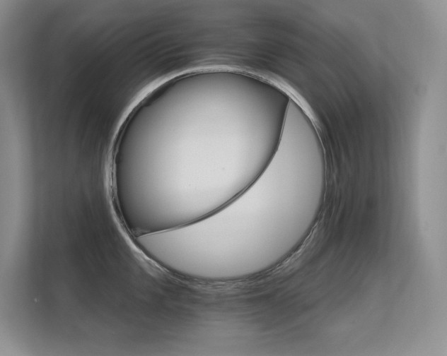 X0000112431101200908141426