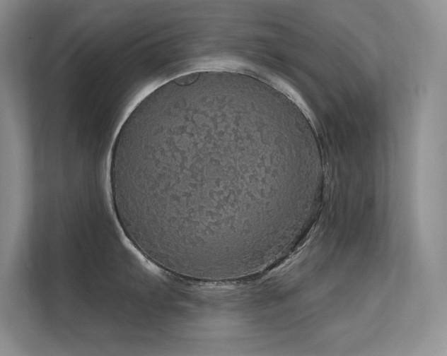 X0000112431103200908141426