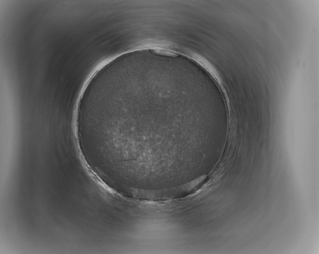 X0000112431104200908141426