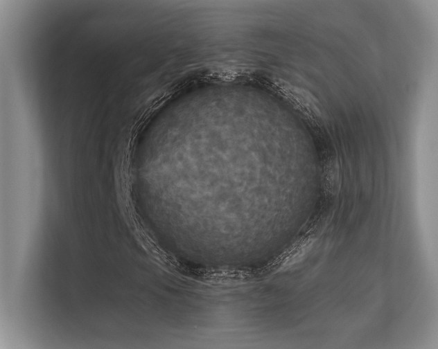 X0000112431105200908141425