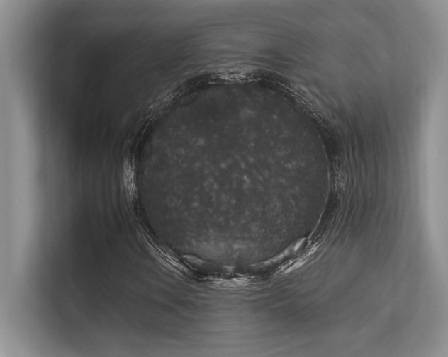 X0000112431106200908141425
