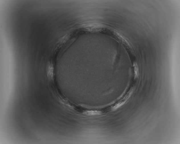 X0000112431108200908141425
