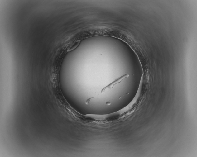 X0000112431109200908141425