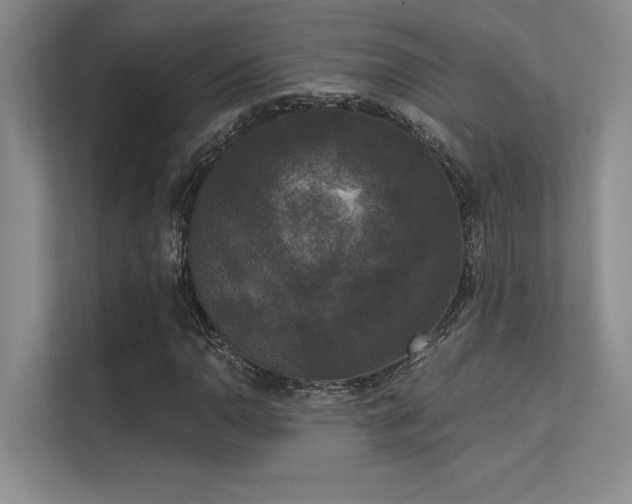 X0000112431110200908141425