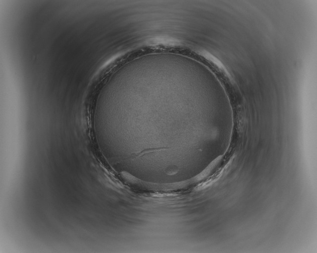 X0000112431112200908141425