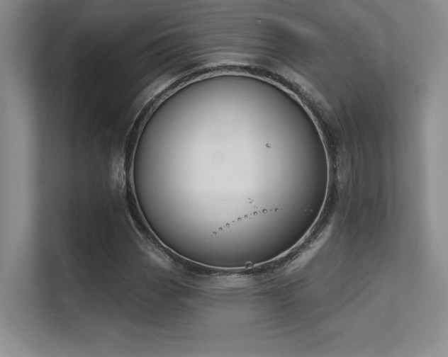X0000112431113200908141425