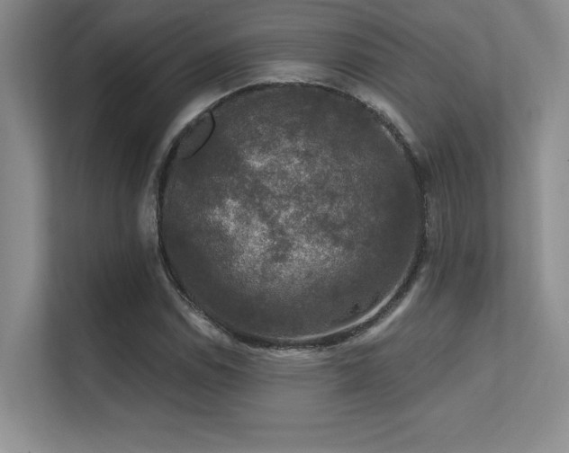 X0000112431114200908141425