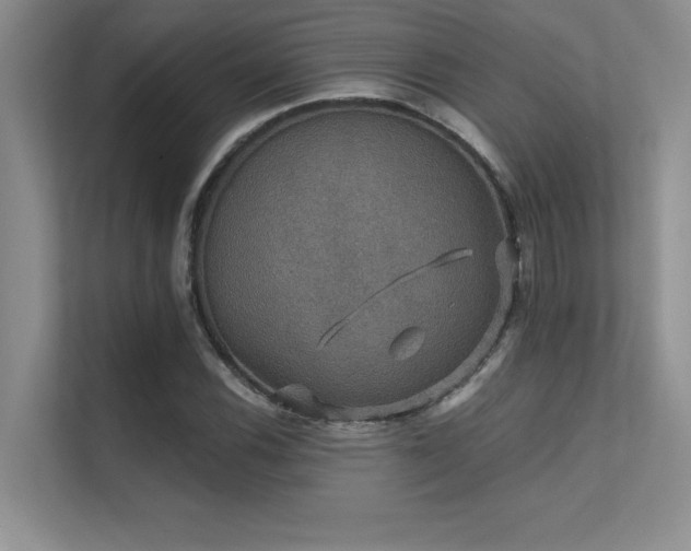 X0000112431116200908141425