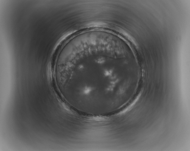 X0000112431117200908141425