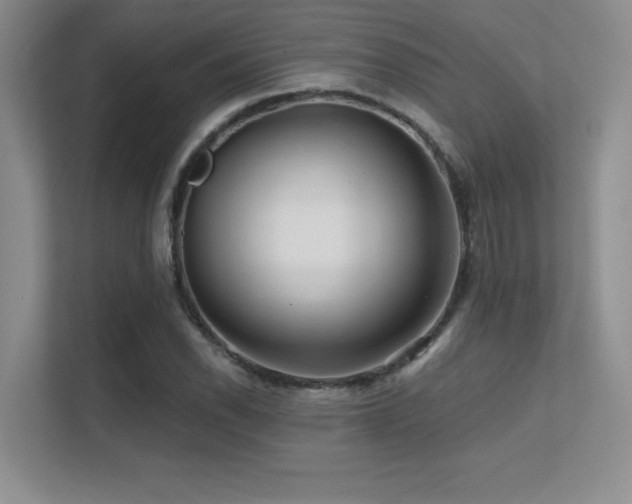 X0000112431118200908141425