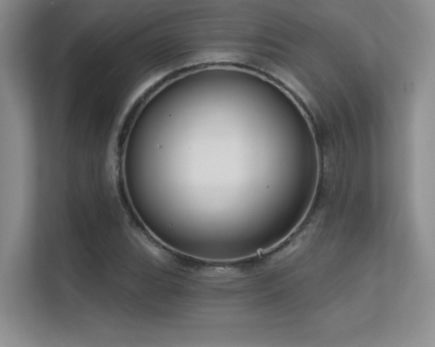 X0000112431119200908141425