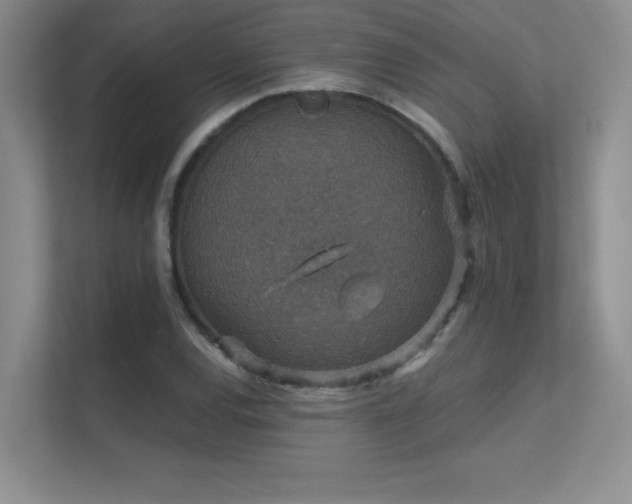 X0000112431120200908141425