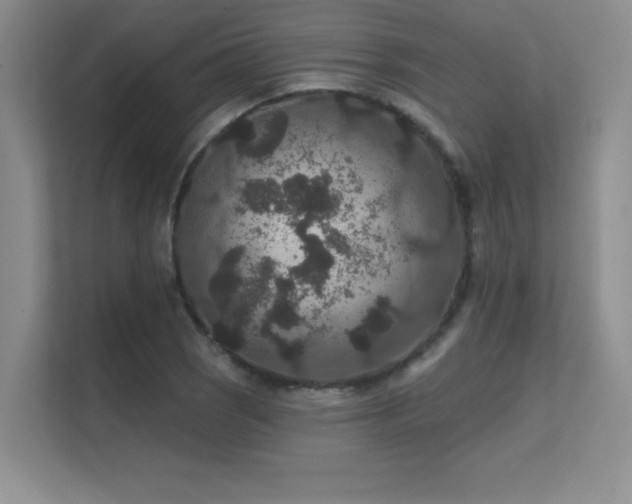 X0000112431121200908141425
