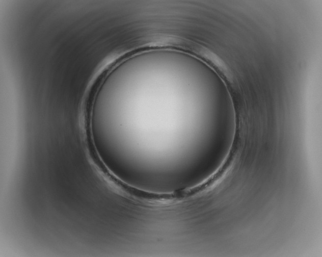X0000112431122200908141425