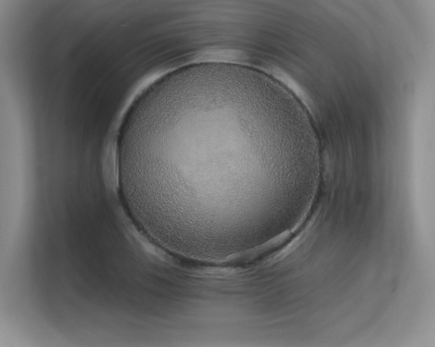 X0000112431123200908141425