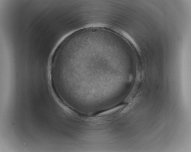X0000112431124200908141425