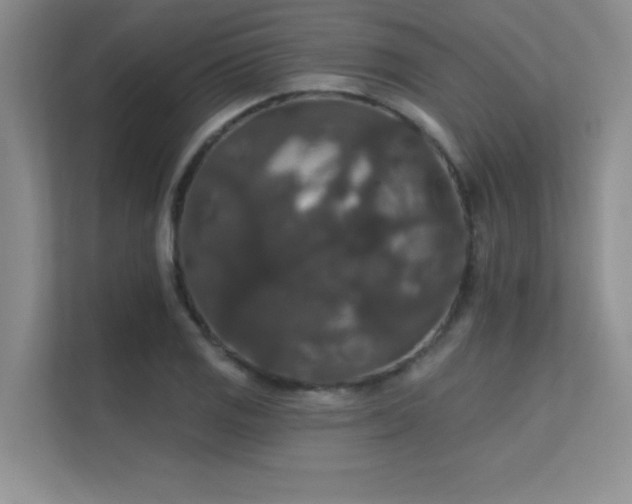 X0000112431125200908141425