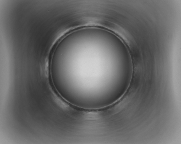 X0000112431126200908141425