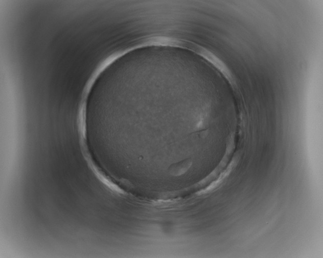 X0000112431128200908141425