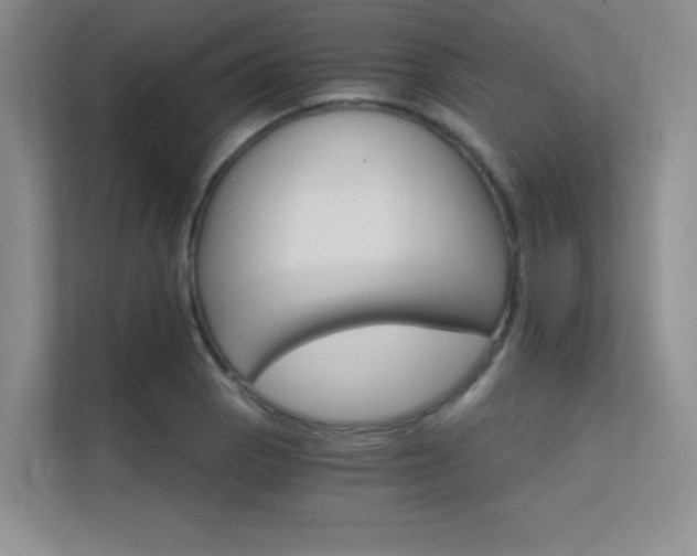 X0000112431129200908141425