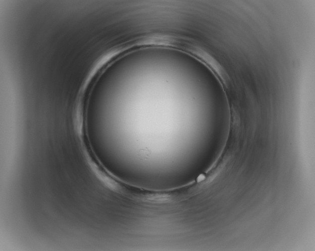 X0000112431131200908141425