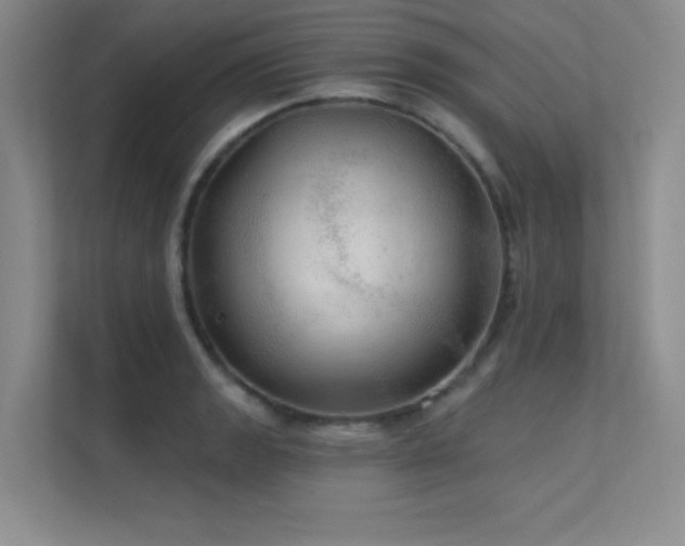 X0000112431133200908141425