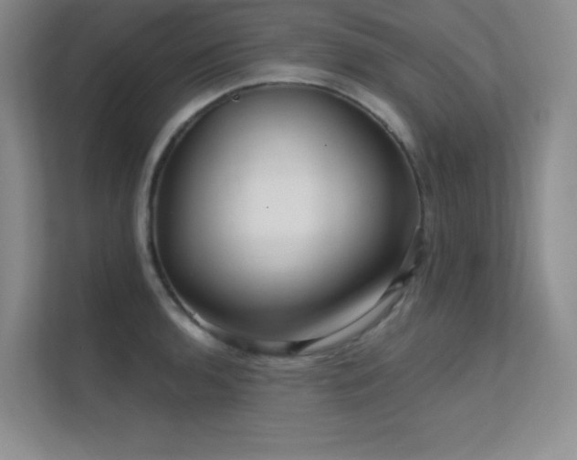 X0000112431136200908141426