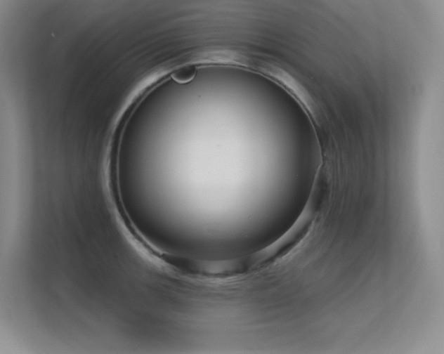 X0000112431139200908141426