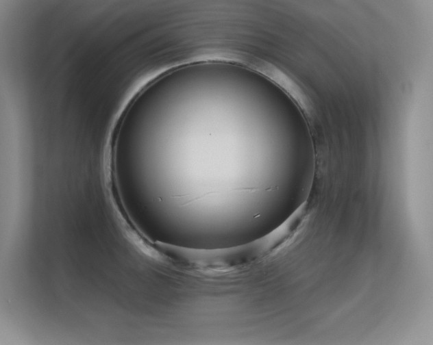 X0000112431140200908141426