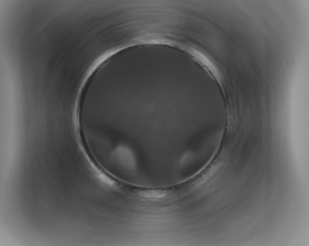 X0000112431141200908141426