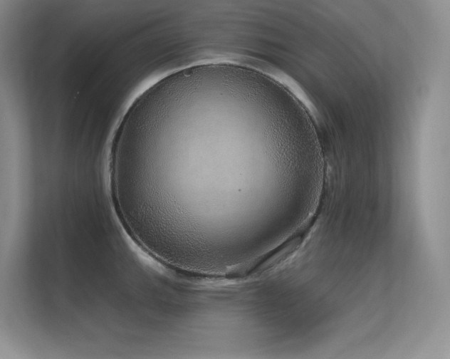 X0000112431143200908141426
