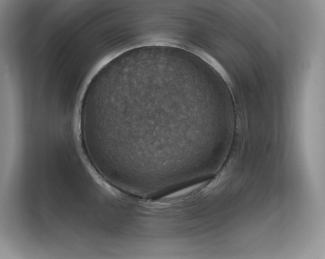 X0000112431144200908141426