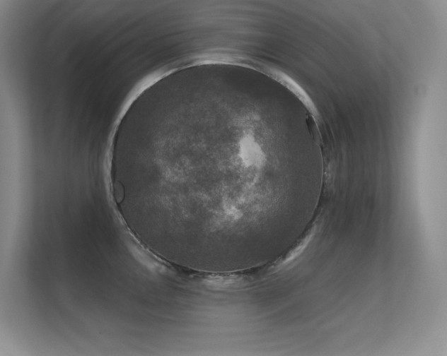 X0000112431146200908141426