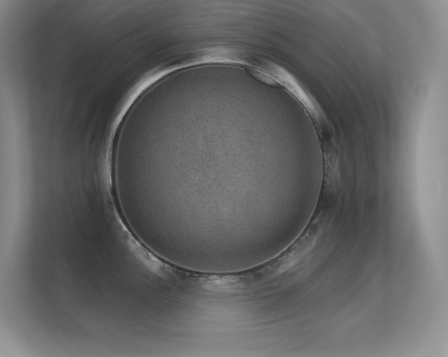 X0000112431148200908141426