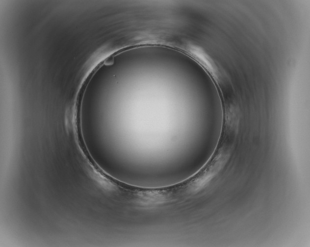 X0000112431149200908141426
