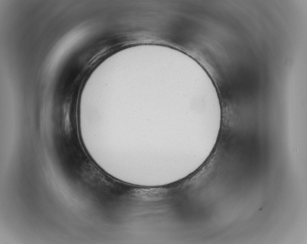 X0000112431150200908141426