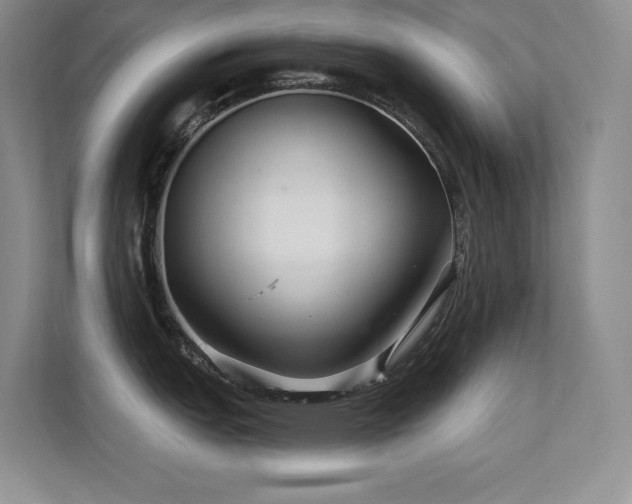 X0000112431151200908141426