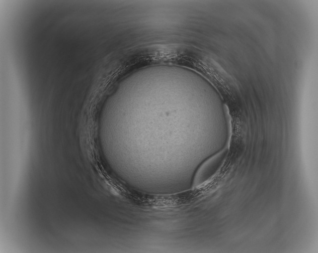 X0000112431153200908141425