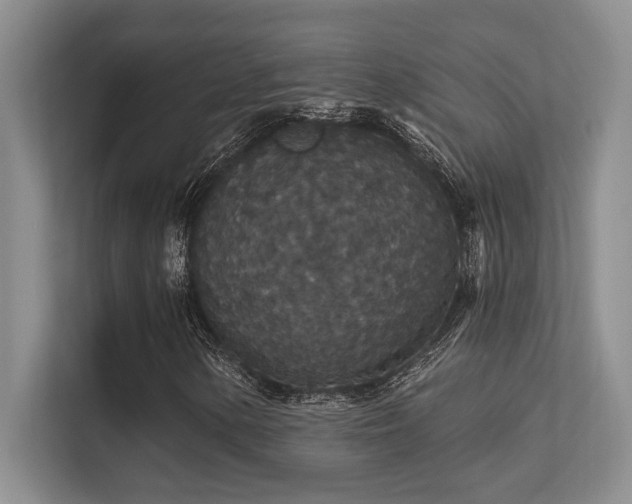 X0000112431154200908141425