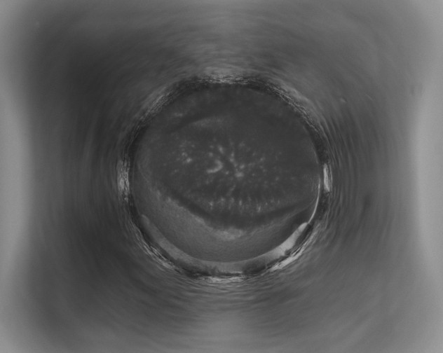 X0000112431155200908141425
