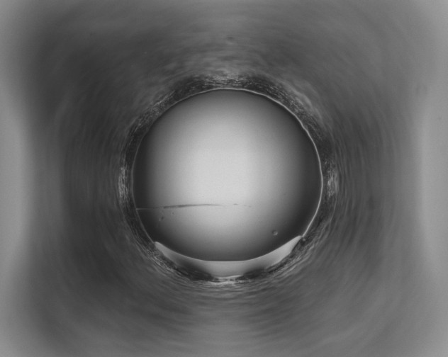 X0000112431156200908141425