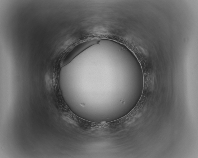 X0000112431157200908141425