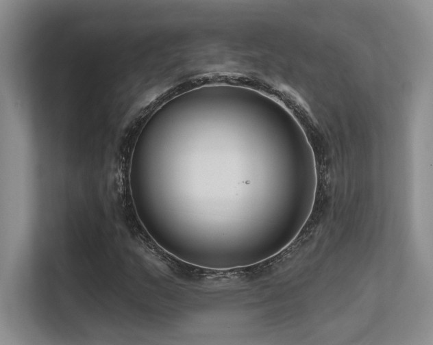 X0000112431159200908141425