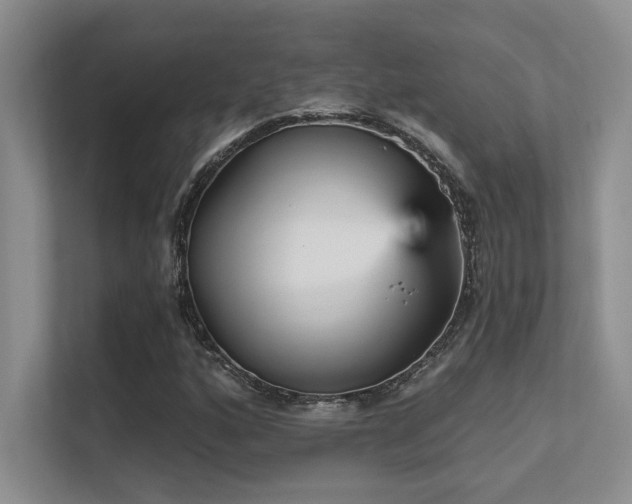 X0000112431160200908141425