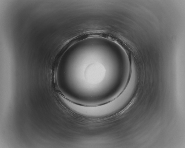 X0000112431161200908141425