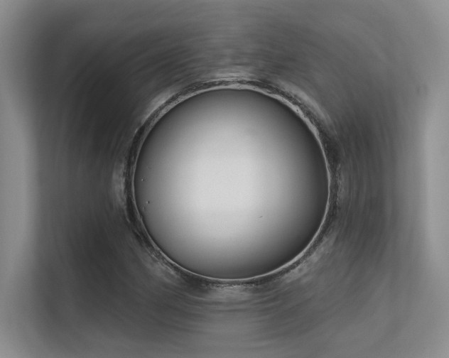 X0000112431162200908141425