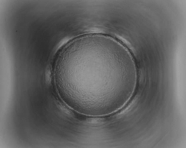 X0000112431163200908141425