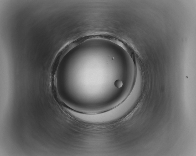 X0000112431165200908141425