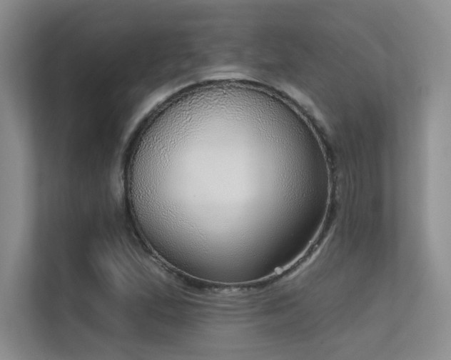 X0000112431167200908141425